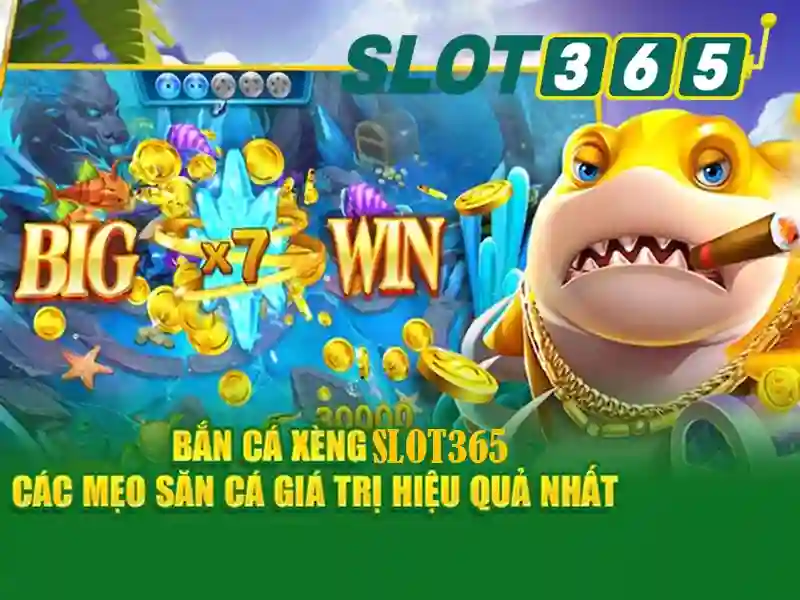 Giao diện và trải nghiệm người dùng