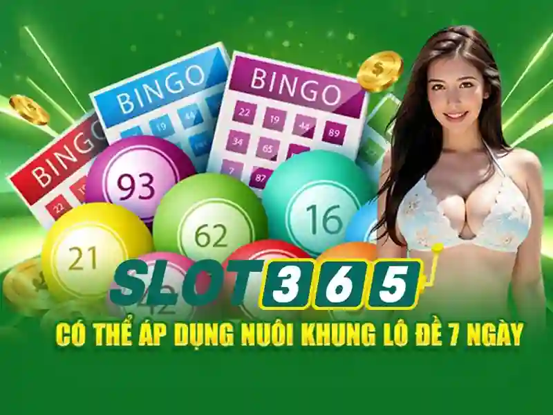 app slot365 – Trải nghiệm người dùng và Phản hồi cộng đồng