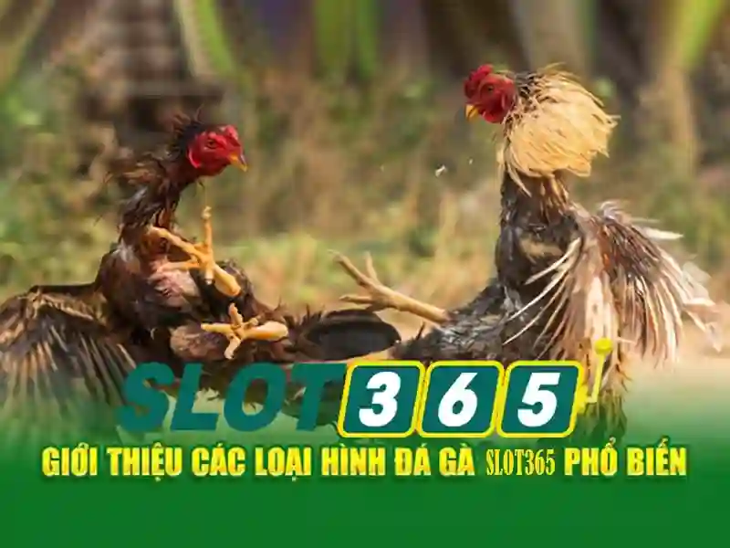 slot365 tặng 200k – Tổng quan chủ đề và giá trị cốt lõi