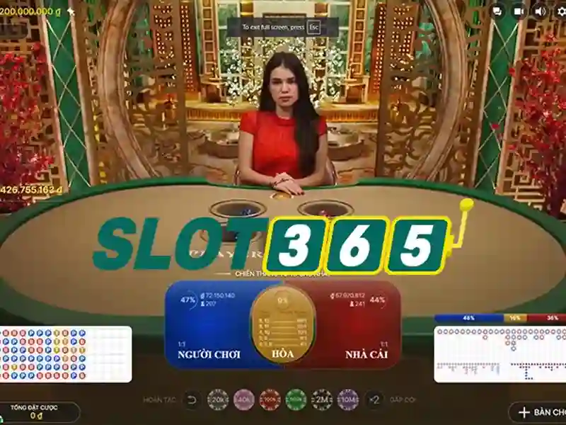 giftcode Slot365 – Khởi đầu đầy hứa hẹn
