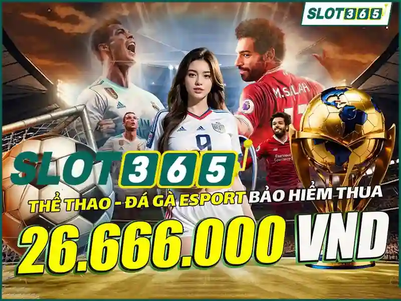 Tổng quan về slot365 vip