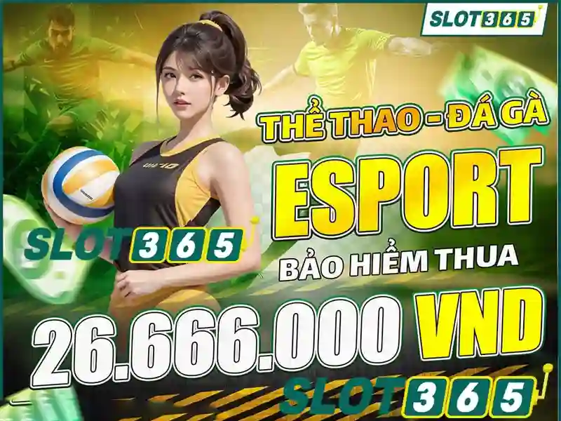 Khuyến mãi và chương trình thưởng