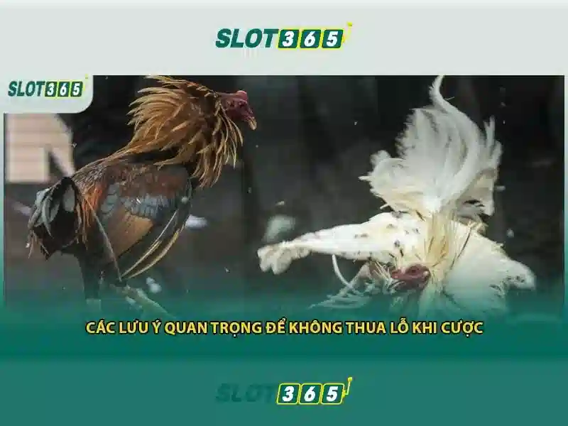 Slot365 là gì?