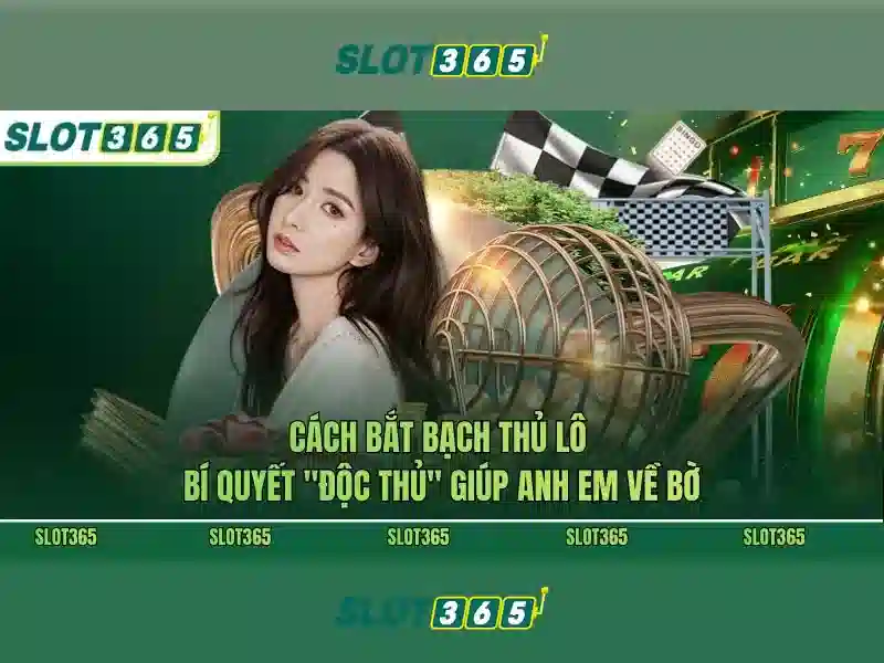 Trải nghiệm người dùng và an toàn