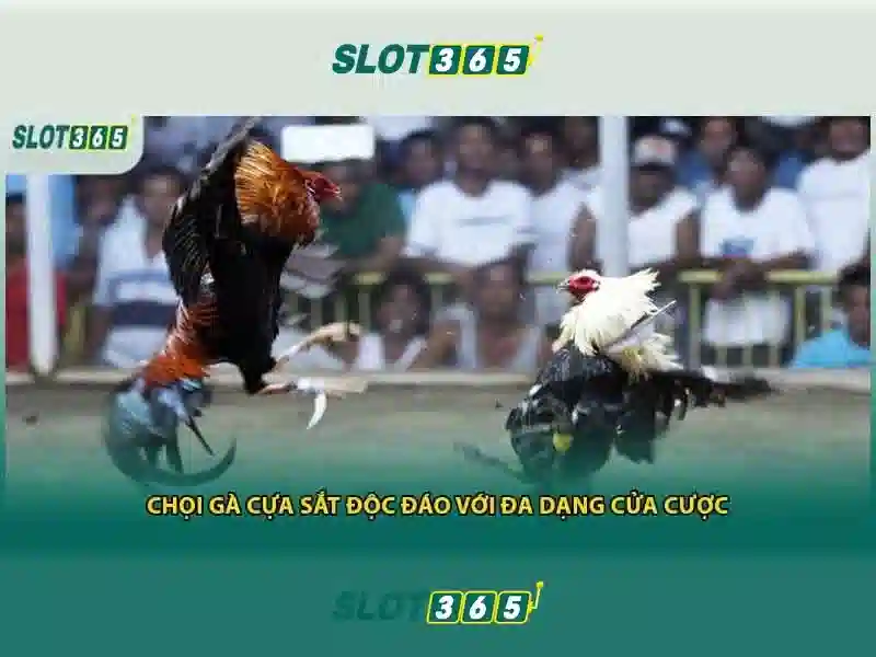 bắn cá Slot365: Trải nghiệm đỉnh cao với slot365 poker Giao diện nhà cái hoàn hảo
