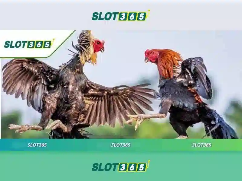 Lợi ích khi chơi Slot365