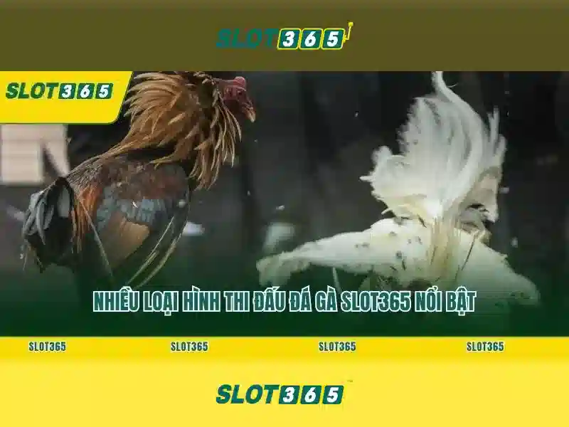 khuyến mãi Slot365 – Tổng quan chủ đề và Giá trị cốt lõi