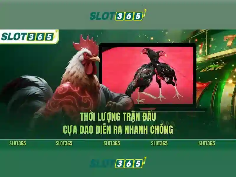 Kho bài slot đa dạng và bảng thưởng hấp dẫn