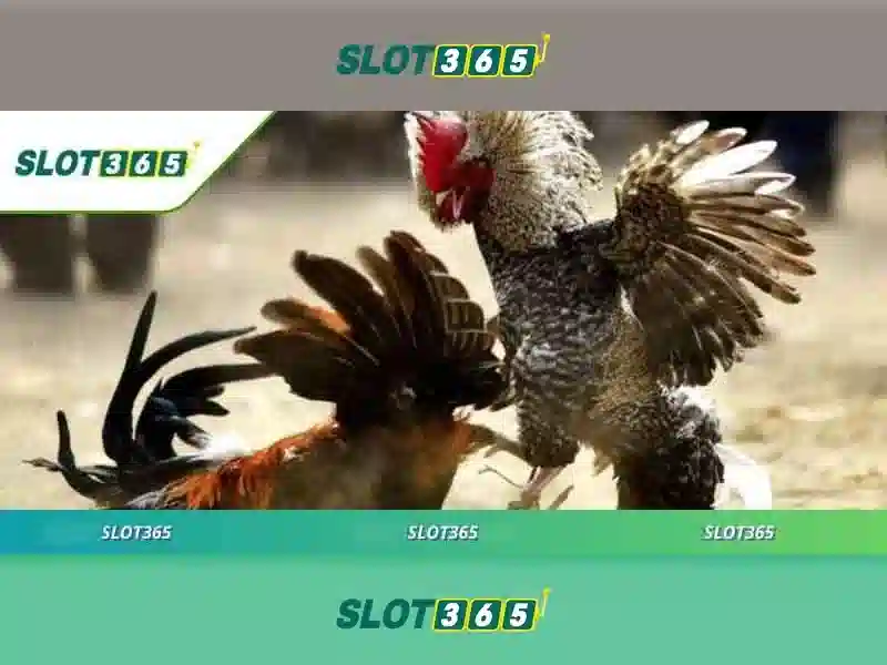Slot365 — Nền tảng slot trực tuyến nổi bật