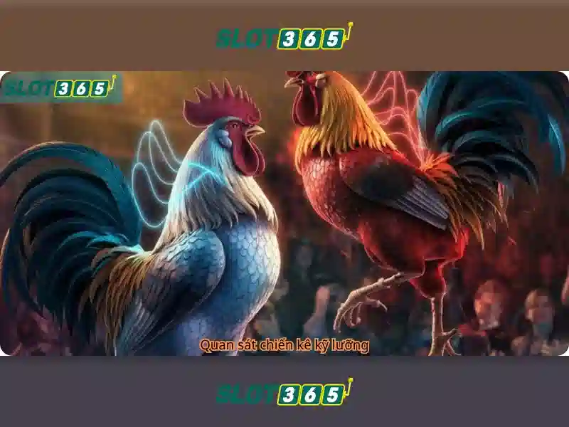 Slot365: Đặc điểm nổi bật của Slot365
