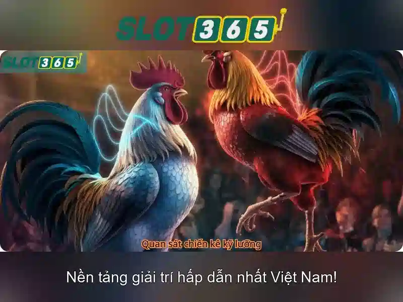 Giao diện nhà cái hoàn hảo