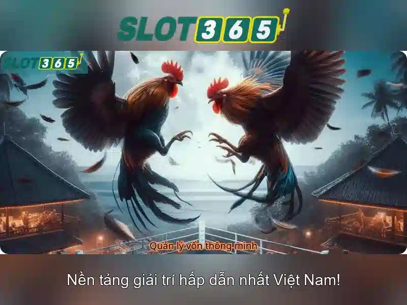 tải app slot365 dễ dàng – trải nghiệm đỉnh cao an toàn Giao diện nhà cái hoàn hảo