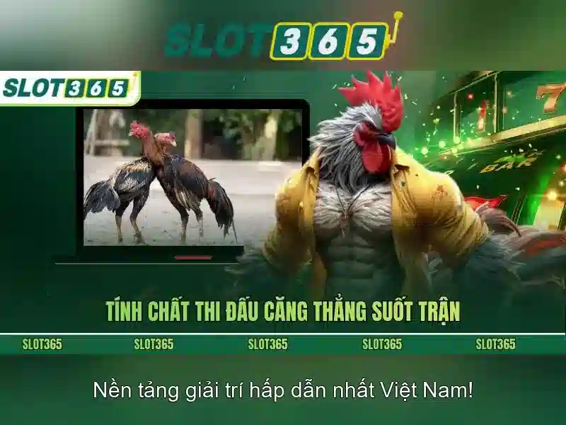 Khuyến mãi và thanh toán