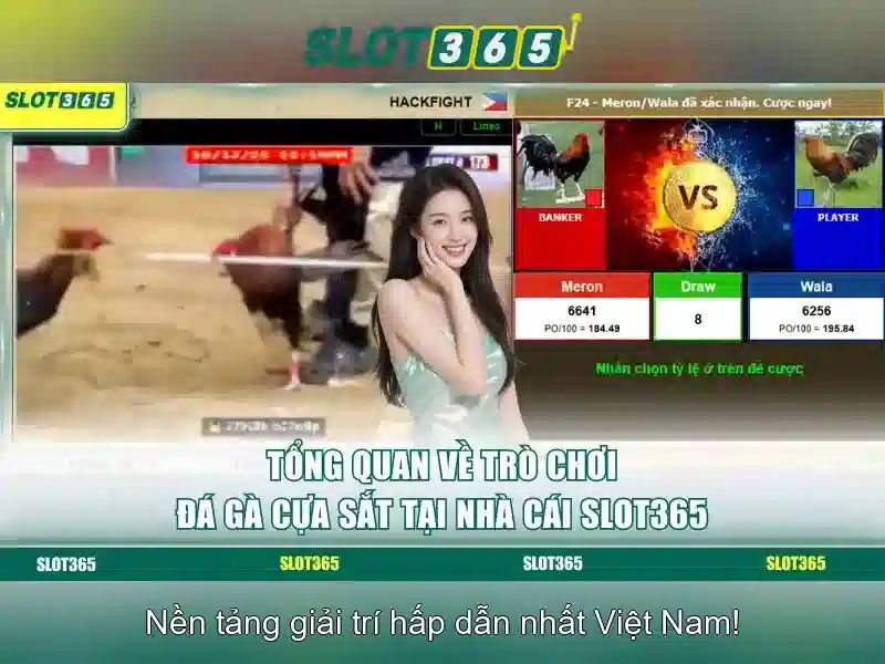Giao diện nhà cái hoàn hảo