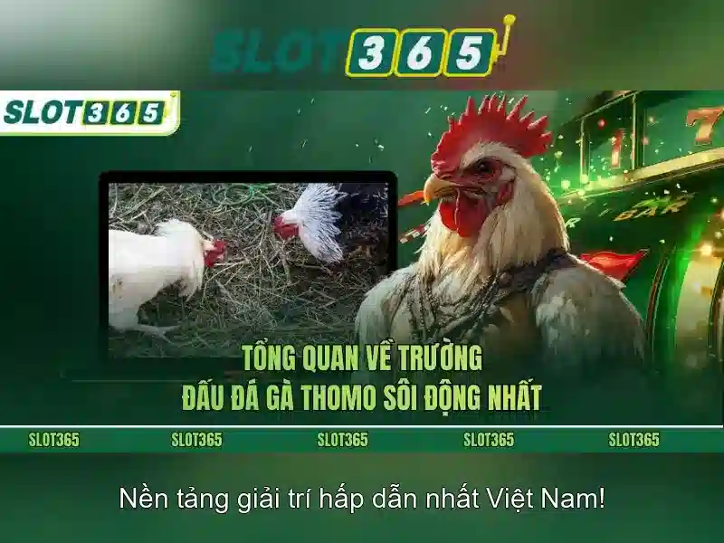 Giao diện nhà cái hoàn hảo