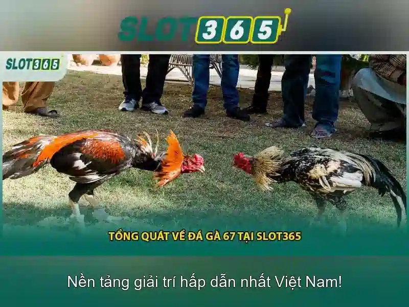 Cac trò chơi nổi bật từ Slot365