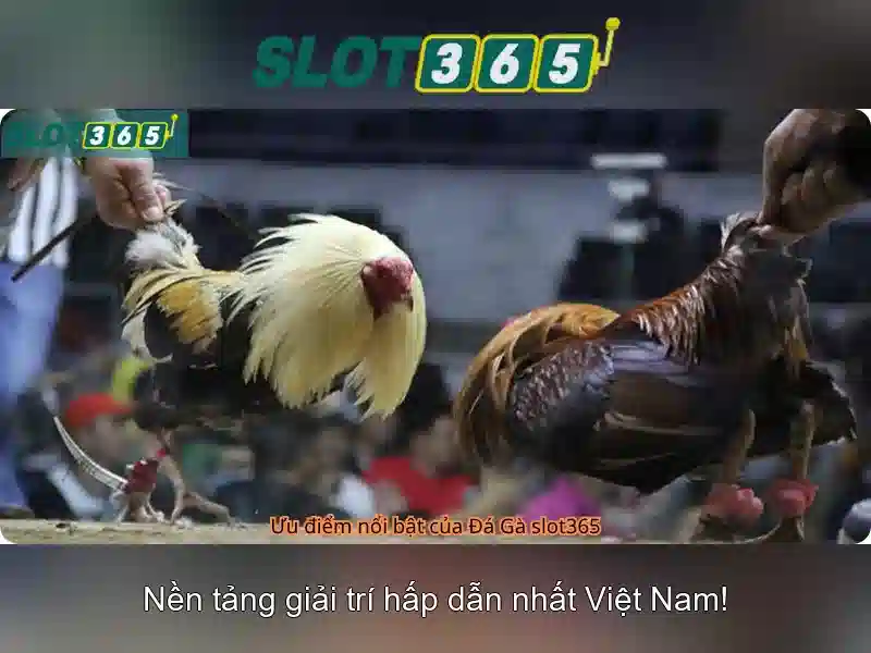 Giao diện nhà cái hoàn hảo