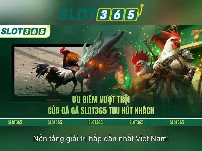 Kết luận