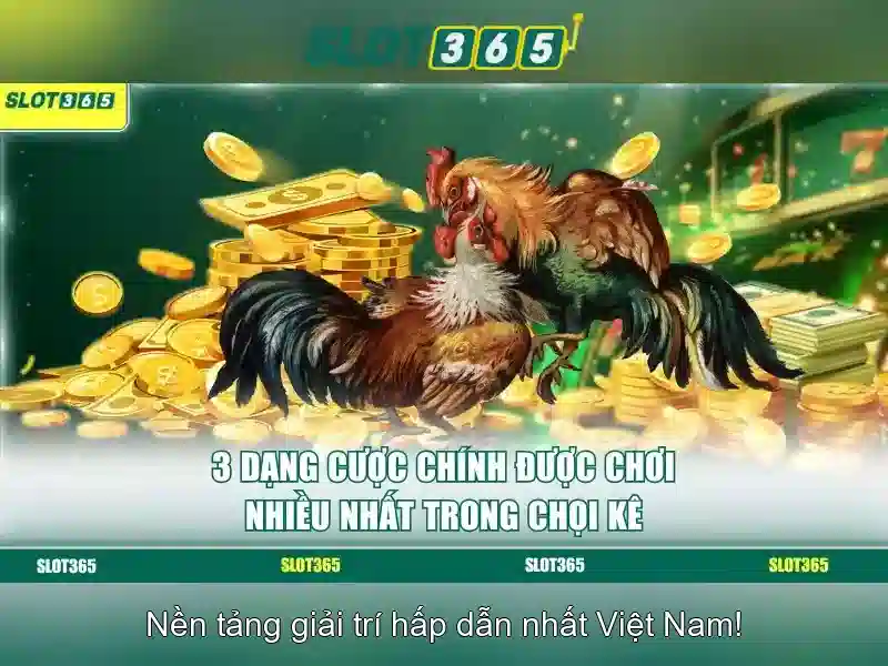 An toàn và thanh toán\n\n<h2><b>Khuyến mãi và cách tham gia</b></h2>\n<p><span style=