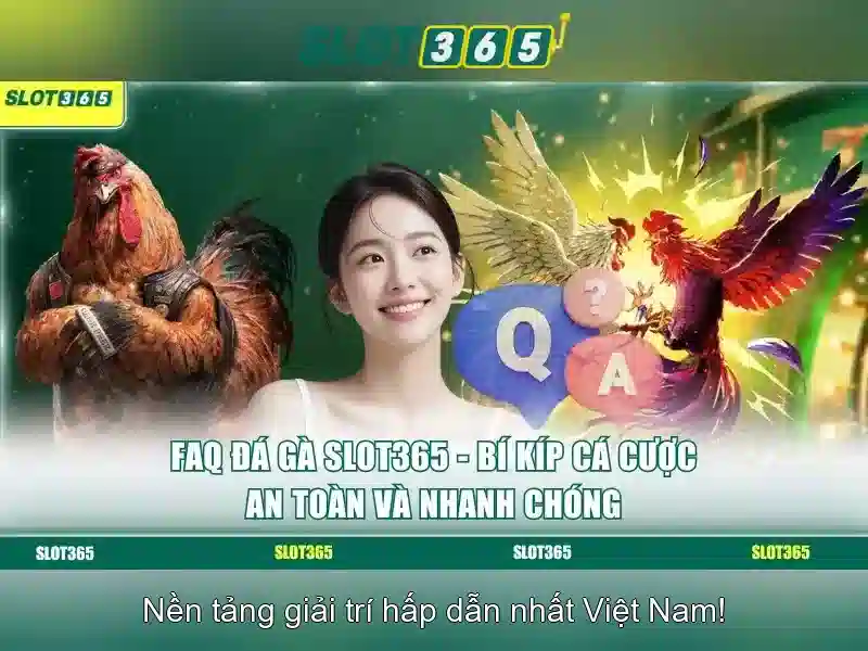 Slot365 là nền tảng giải trí slots trực tuyến được tin dùng