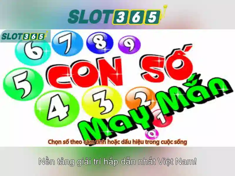 An toàn, bảo mật và hỗ trợ khách hàng 24/7