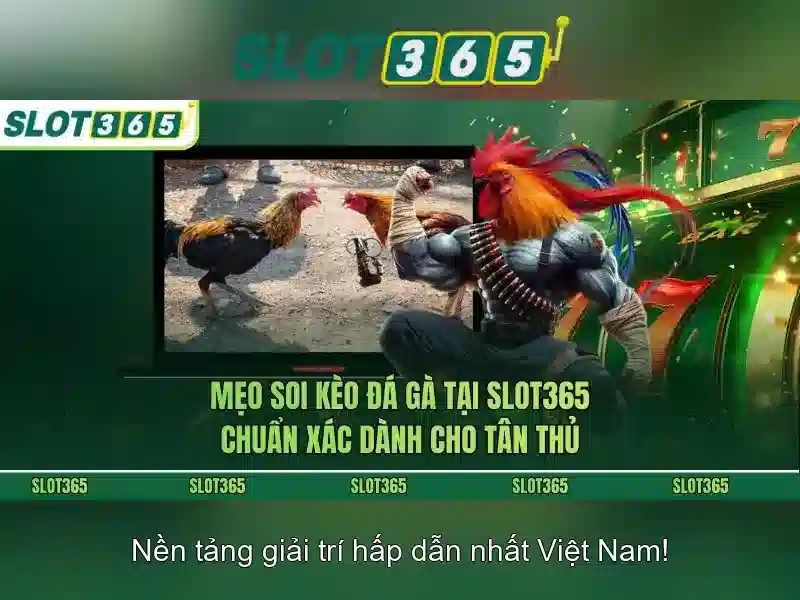 Giao diện nhà cái hoàn hảo
