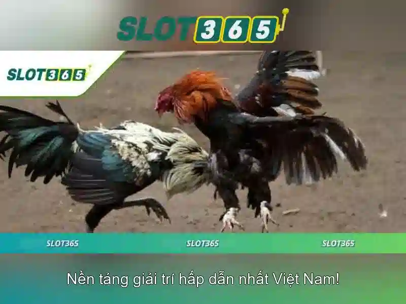 Khuyến mãi và an toàn khi chơi trên Slot365\n<h2><b>Hướng dẫn đăng ký và chơi lần đầu</b></h2>\n<p><span style=