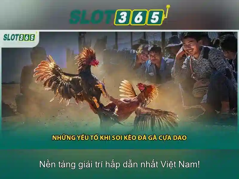 Ưu điểm của Slot365