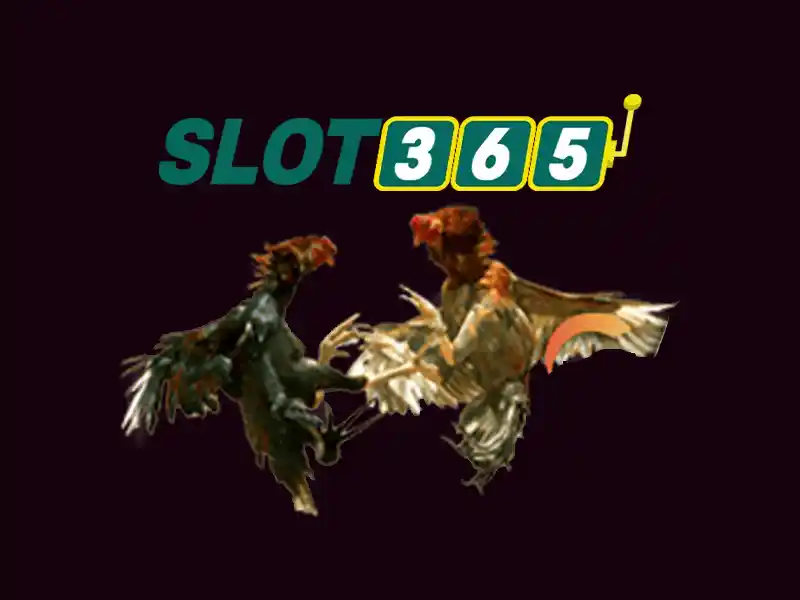 Slot365 co lua dao khong – Loi the canh tranh